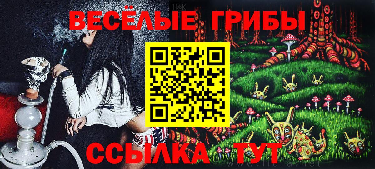 Галлюциногенные грибы прущие грибы Лесной